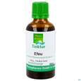 Efeu Tinktur Hedra Helix Phytopharma 50ml - kaufen