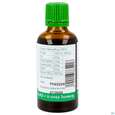 Efeu Tinktur Hedra Helix Phytopharma 50ml, A-Nr.: 5893853 - 04