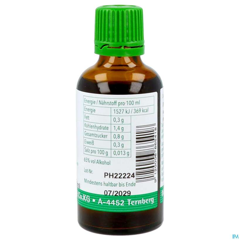 efeu zimmerpflanze gelbe blätter Gelbbunter Efeu 'Goldchild' (Fertighecke) kaufen | Hedera helix 'Goldchild' main image 1
