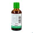 Bittergurke Tinktur Phytopharma 50ml, A-Nr.: 3451275 - 03