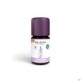 Aetherische Oele Taoasis Demeter Lavendel Aus Detmold 5ml, A-Nr.: 4997912 - 01