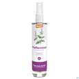 Taoasis Hydrolat Pfefferminze Demeter Deutschland 50ml, A-Nr.: 5998865 - 02