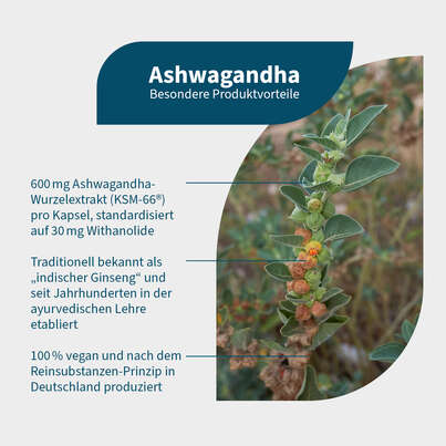 Sie sehen eine Packung NatuGena Ashwagandha Kapseln, Produktbild: 02 NatuGena Ashwagandha Kapseln, A-Nr.: 5699080 - 02