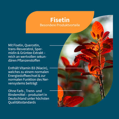 Sie sehen eine Packung NatuGena Fisetin Kapseln, Produktbild: 02 NatuGena Fisetin Kapseln, A-Nr.: 6011950 - 02