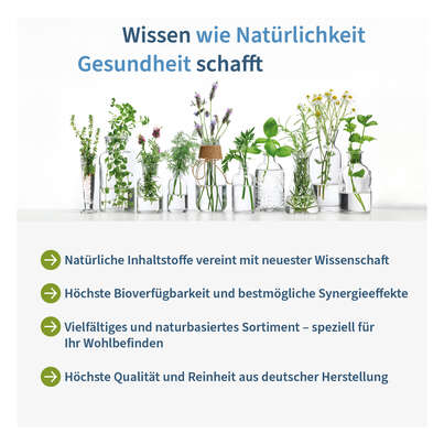 Sie sehen eine Packung NatuGena Homocystein Modulator Kapseln, Produktbild: 05 NatuGena Homocystein Modulator Kapseln, A-Nr.: 5926819 - 05