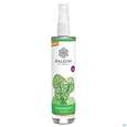 Taoasis Baldini Raumspray Gluecksduft 50ml, A-Nr.: 5699039 - 02