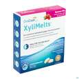 Xylimelts Hafttabl 40s Beerenmix Artikelnr 01ac0042 40st, A-Nr.: 5960615 - 02