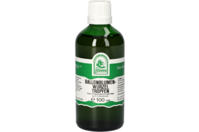 BALLONBLUMENWURZEL TROPFEN 100 ML, A-Nr.: 4878366 - 01