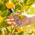 Sie sehen eine Packung Panier des Sens Eau de Toilette Provence, Produktbild: 02 Panier des Sens Eau de Toilette Provence, A-Nr.: 5958937 - 02