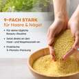 Dr. Böhm Haut Haare Nägel Schönheitskur, A-Nr.: 5052154 - 03