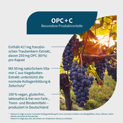 NatuGena OPC+C Kapseln, A-Nr.: 5404452 - 02