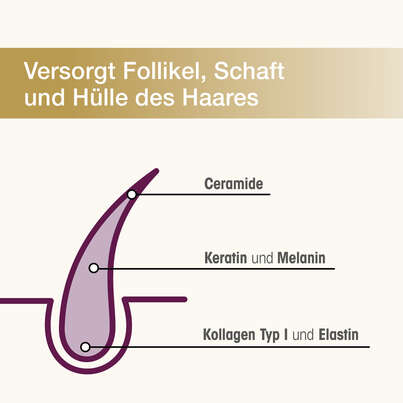 Dr. Böhm Haarstruktur Premium Wirkkomplex, A-Nr.: 6028146 - 02