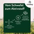 Vitabay MSM - Methylsulfonylmethan 1.000 mg, A-Nr.: 6049013 - 05