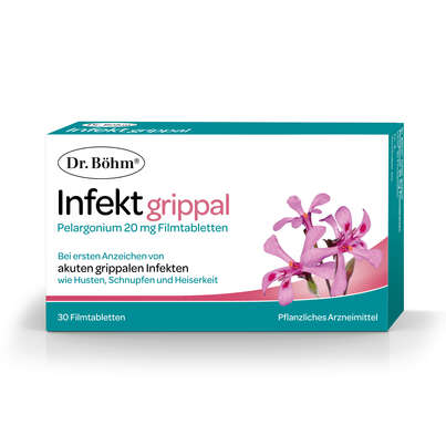 Dr. Böhm Infekt grippal Pelargonium, A-Nr.: 4987888 - 01