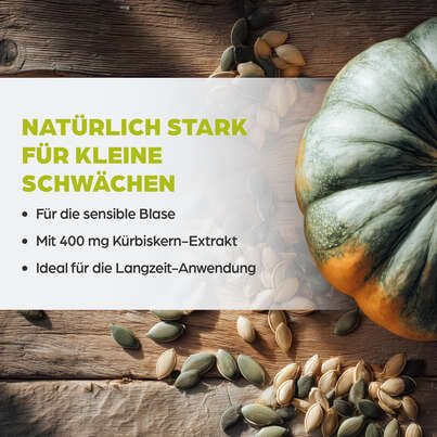Dr. Böhm Kürbis für die Frau, A-Nr.: 4846082 - 03