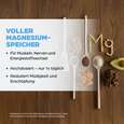 Dr. Böhm Magnesium nur 1 Dragee täglich, A-Nr.: 1854738 - 03