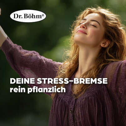 Dr. Böhm Passionsblume, A-Nr.: 3516141 - 02
