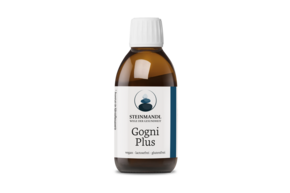 Steinmandl CogniPlus, A-Nr.: 6039641 - 01