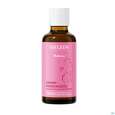 Weleda Damm-massageoel 50ml, A-Nr.: 2572870 - 08