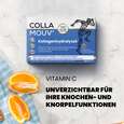 CollaMouv® Original, A-Nr.: 6118085 - 05