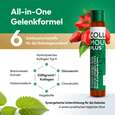 CollaMouv Plus®, A-Nr.: 6118079 - 04