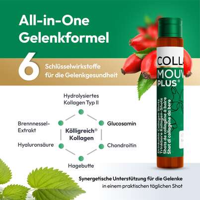 CollaMouv Plus®, A-Nr.: 6118079 - 04