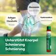 CollaMouv Plus®, A-Nr.: 6118079 - 06