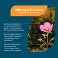 Sie sehen eine Packung NatuGena Zistrose & Vitamin C Kapseln, Produktbild: 02 NatuGena Zistrose & Vitamin C Kapseln, A-Nr.: 6040325 - 02