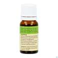 Biofit Hild Oel/was Rebst Tr 10ml, A-Nr.: 2309291 - 04