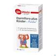 Sie sehen eine Packung Darmflora Plus Dr.wolz Kinder Pulver +familie Nr 60519 68g, Produktbild: 04 Darmflora Plus Dr.wolz Kinder Pulver +familie Nr 60519 68g, A-Nr.: 5186699 - 04