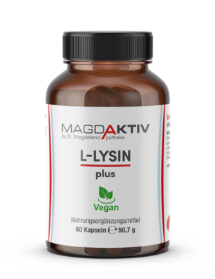 Sie sehen eine Packung Magdaktiv L-LYSIN PLUS Kapseln, 60Stk., Produktbild: 01 Magdaktiv L-LYSIN PLUS Kapseln, 60Stk., A-Nr.: 8050807 - 01