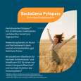 Sie sehen eine Packung NatuGena BactoGena Pylopass, Produktbild: 02 NatuGena BactoGena Pylopass, A-Nr.: 6139354 - 02