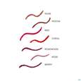 Boerlind Lip Liner Pencil Rose 60268 1g, A-Nr.: 5689940 - 05