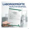 Enzym Bromelain/kapseln Complex Hochdosiert Gelencium 100st, A-Nr.: 5726931 - 16