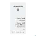 Sie sehen eine Packung Hauschka Dr. Kosmetik 2in1 Lip To Cheek 03 Rosewood 6,1g, Produktbild: 01 Hauschka Dr. Kosmetik 2in1 Lip To Cheek 03 Rosewood 6,1g, A-Nr.: 5835904 - 01