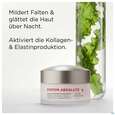 Sie sehen eine Packung Boerlind System Absolut Nachtcreme Limited Design 60362 50ml, Produktbild: 07 Boerlind System Absolut Nachtcreme Limited Design 60362 50ml, A-Nr.: 5844783 - 07