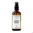Sie sehen eine Packung Dr.eberhardt Raumspray Bio Schutzengerl 100ml, Produktbild: 02 Dr.eberhardt Raumspray Bio Schutzengerl 100ml, A-Nr.: 5767522 - 02