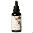 Sie sehen eine Packung Kraeuter Essenz Lebergesundheit Liver Detox 50ml, Produktbild: 04 Kraeuter Essenz Lebergesundheit Liver Detox 50ml, A-Nr.: 5969817 - 04