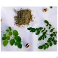 Moringa Powder Capsules 60 Stk., A-Nr.: 4583412 - 02