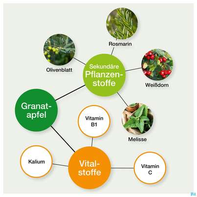 Weissdorn Herz+fit Granatapfel Revital Alkoholfrei Kraeuter Fruechte 330ml, A-Nr.: 3725790 - 04