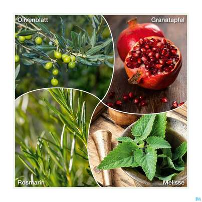 Weissdorn Herz+fit Granatapfel Revital Alkoholfrei Kraeuter Fruechte 330ml, A-Nr.: 3725790 - 05