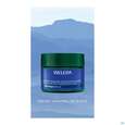 Sie sehen eine Packung Weleda Blauer Enzian +edelweiss Festigende Nachtpflege 40ml, Produktbild: 12 Weleda Blauer Enzian +edelweiss Festigende Nachtpflege 40ml, A-Nr.: 5729958 - 12