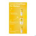 Sie sehen eine Packung Weleda Calendula Wundschutzcreme 30ml, Produktbild: 06 Weleda Calendula Wundschutzcreme 30ml, A-Nr.: 5190910 - 06
