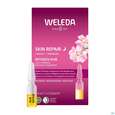 Weleda Skin/repair Intensiv-kur 7 Ampullen 5,6ml, A-Nr.: 5838191 - 01