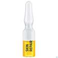 Weleda Skin/repair Intensiv-kur 7 Ampullen 5,6ml, A-Nr.: 5838191 - 03