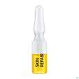 Weleda Skin/repair Intensiv-kur 7 Ampullen 5,6ml, A-Nr.: 5838191 - 04