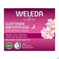 Sie sehen eine Packung Weleda Wildrose/+weisser Tee Glaettende Nachtpflege 40ml, Produktbild: 01 Weleda Wildrose/+weisser Tee Glaettende Nachtpflege 40ml, A-Nr.: 5838179 - 01