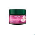 Sie sehen eine Packung Weleda Wildrose/+weisser Tee Glaettende Nachtpflege 40ml, Produktbild: 03 Weleda Wildrose/+weisser Tee Glaettende Nachtpflege 40ml, A-Nr.: 5838179 - 03