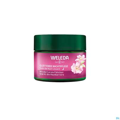 Sie sehen eine Packung Weleda Wildrose/+weisser Tee Glaettende Nachtpflege 40ml, Produktbild: 04 Weleda Wildrose/+weisser Tee Glaettende Nachtpflege 40ml, A-Nr.: 5838179 - 04