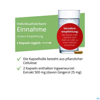 Sie sehen eine Packung Ingwer Kapseln Extrakt Dr.wolz Nr 60547 120st, Produktbild: 05 Ingwer Kapseln Extrakt Dr.wolz Nr 60547 120st, A-Nr.: 4297741 - 05
